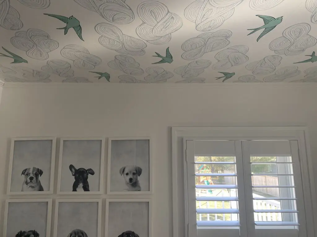 white and blue bird wallpaper on ceiling