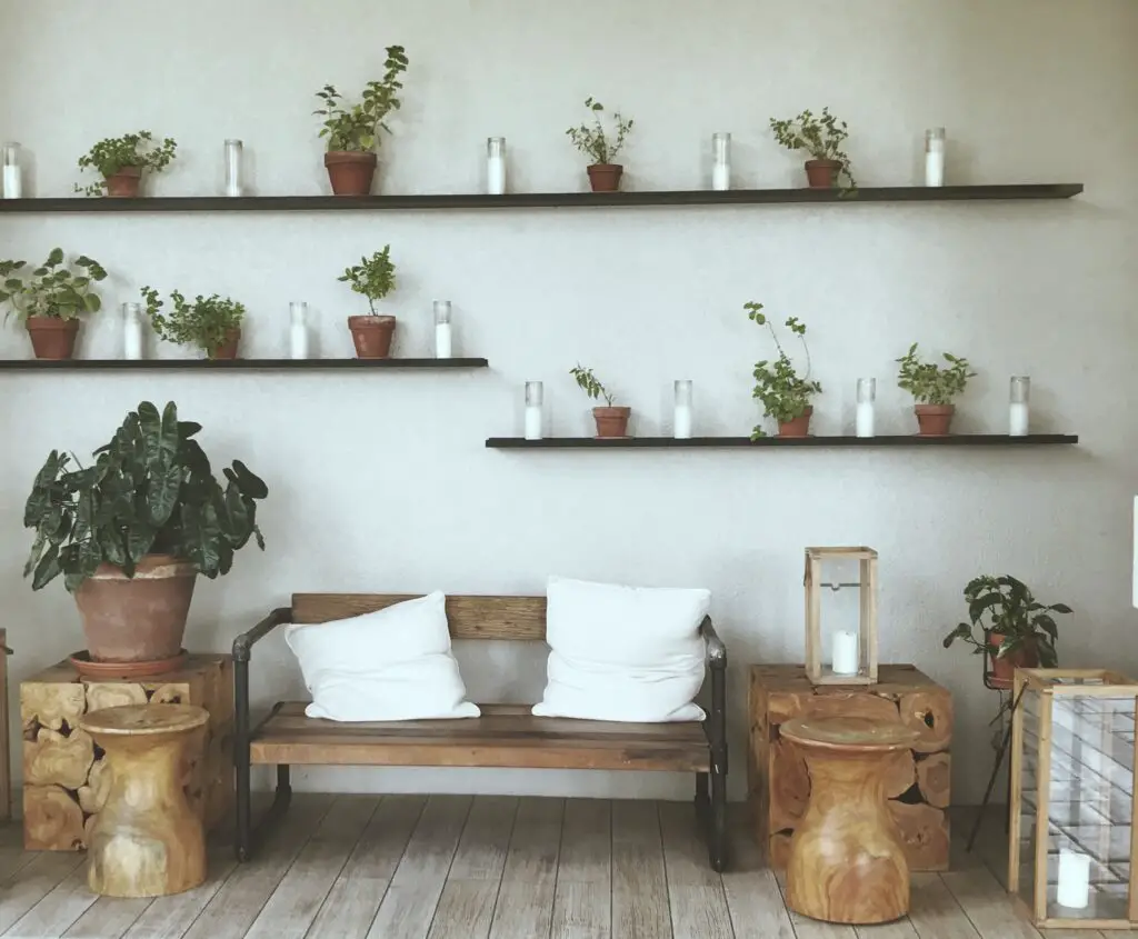 wall of plants and bench with pillows
