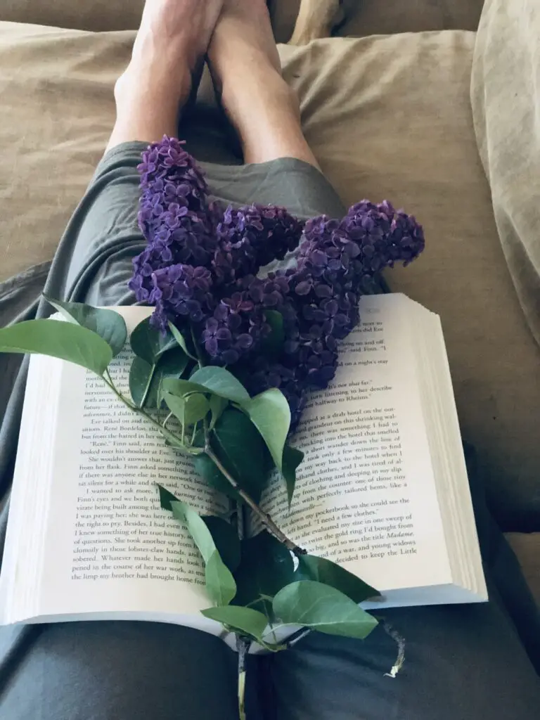 purple lilacs in lap with book