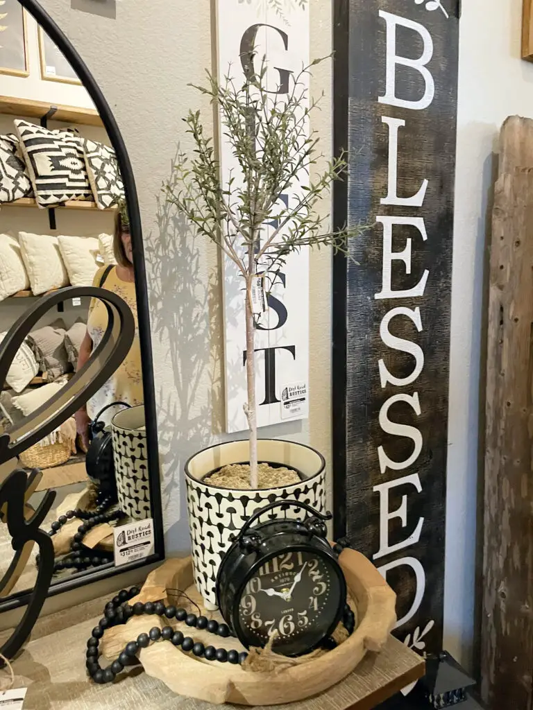 Black and white vase with small tree plant in a wooden bowl with black accents.