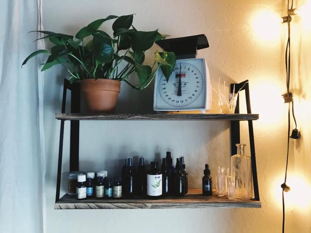 plant on shelf with other knick knacks
