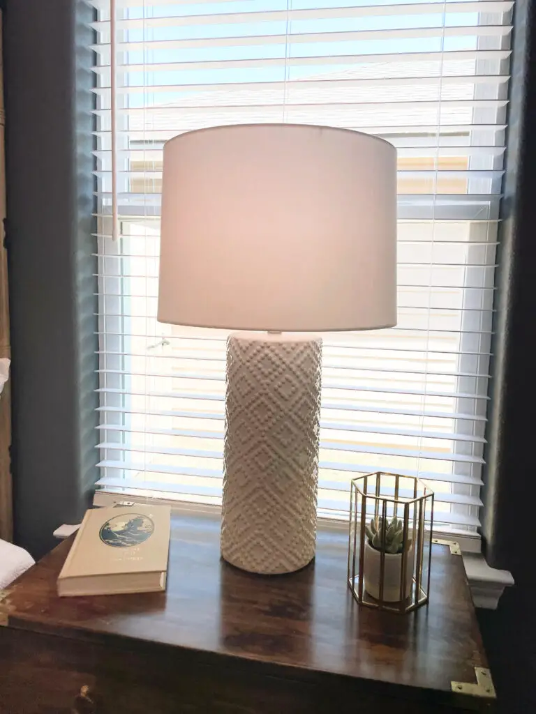 white textured lamp with plant and book