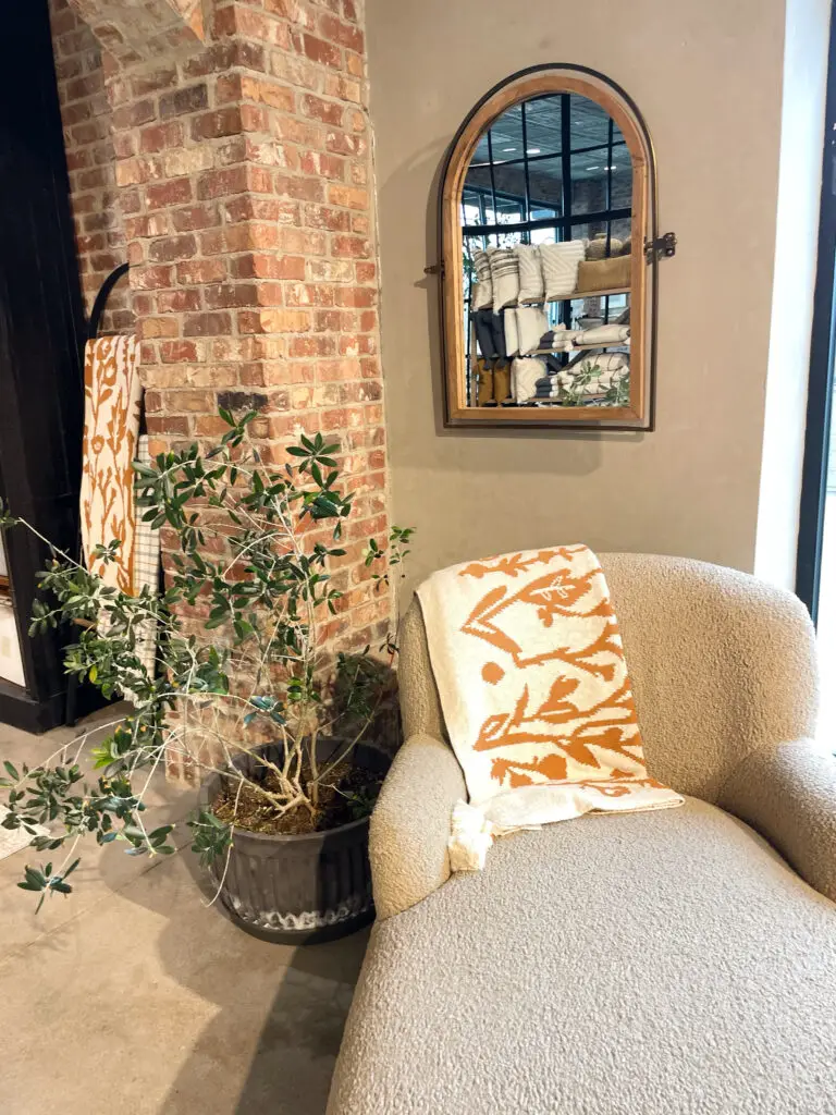 small seating nook with boucle chair and large plant underneath a rustic mirror