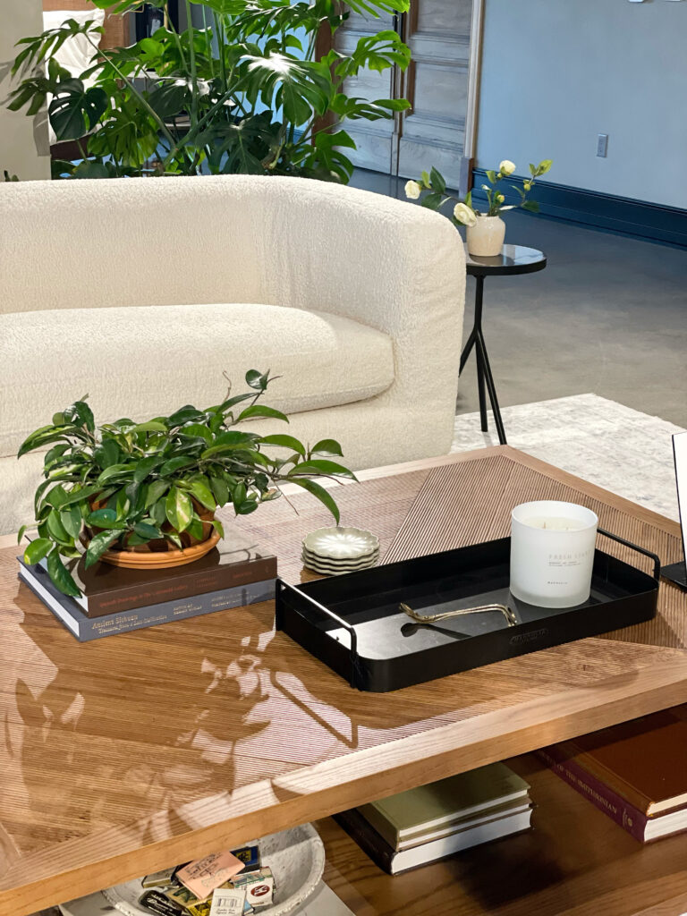 simplistic coffee table decorations with plant on top of books and a beautiful black chair with a candle and wick cutter